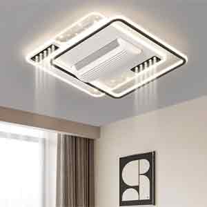 42-Decorative Ceiling Fan with Light